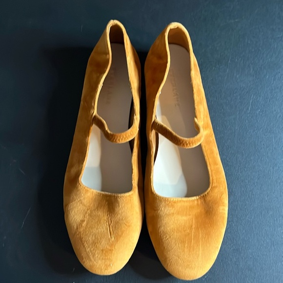EVERLANE The Mary Jane Suede Flat Size 7 - Picture 1 of 8